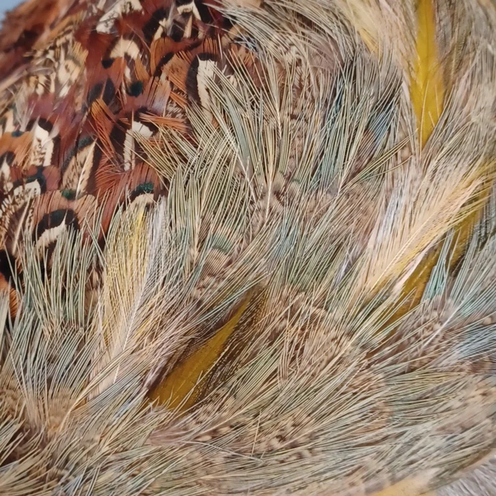 Vintage beautiful feather toque